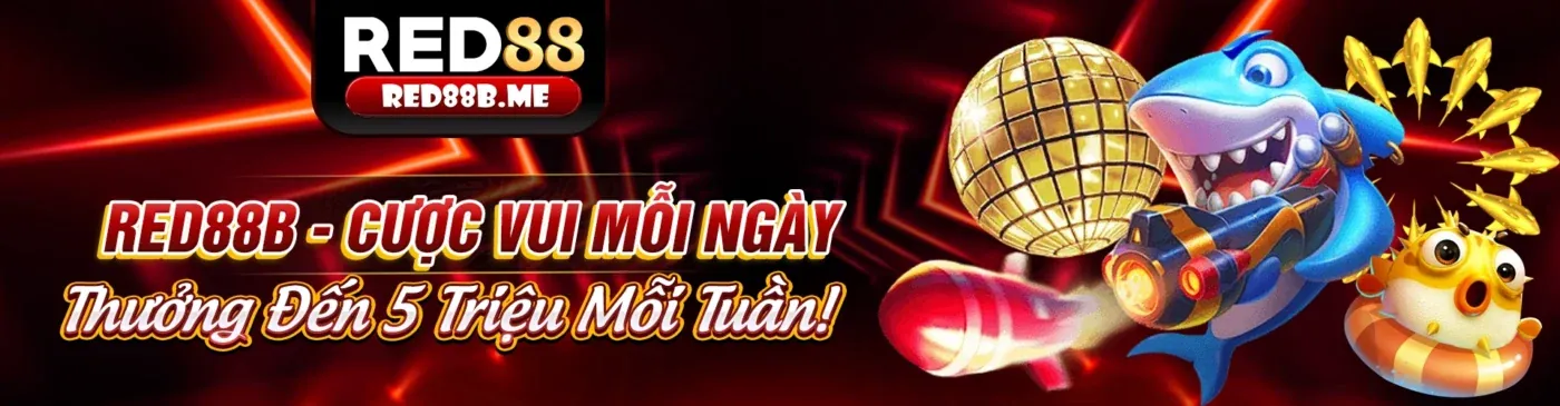 Quy trình xác minh tuổi nghiêm ngặt